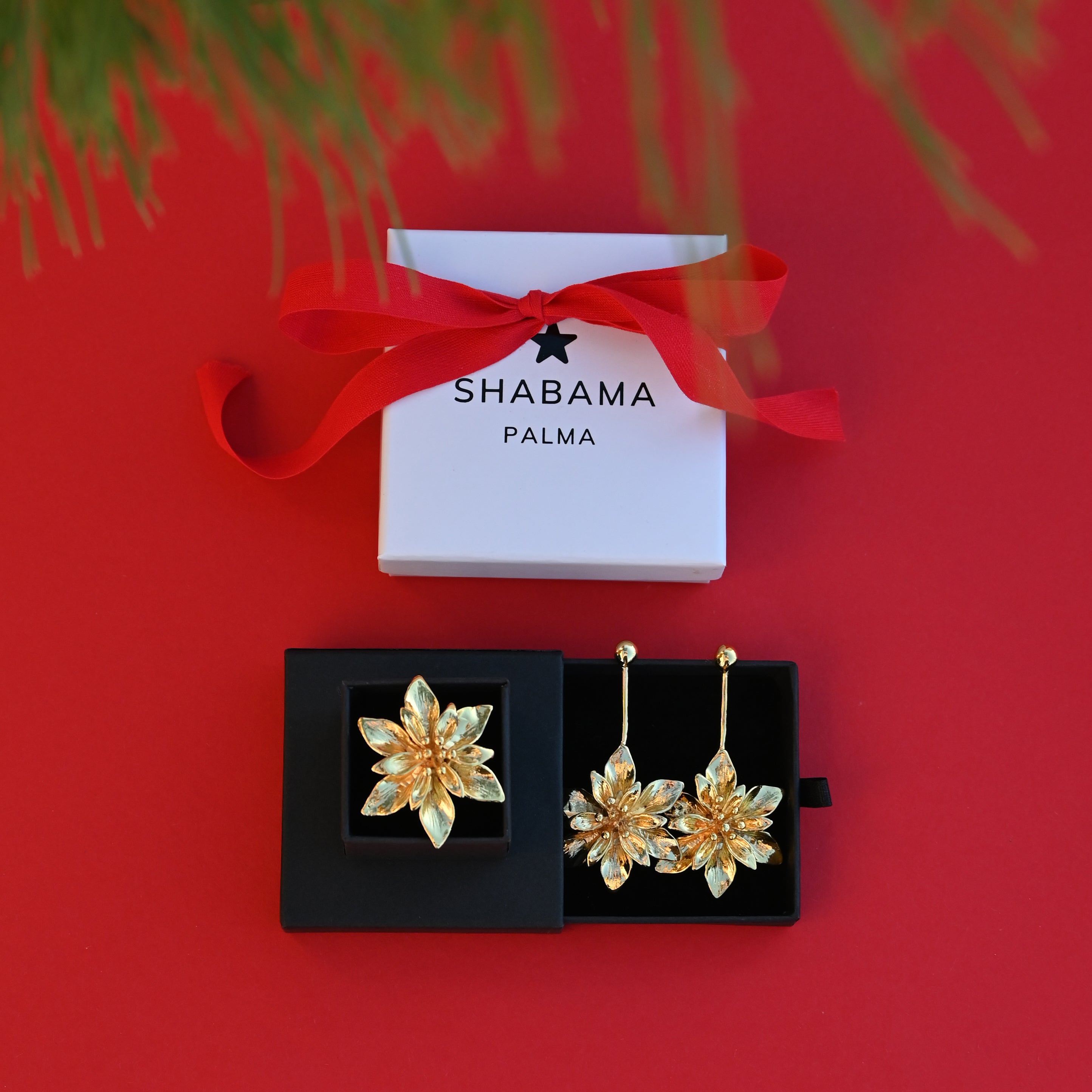 PACK NAVIDAD FLOR EXOTICA