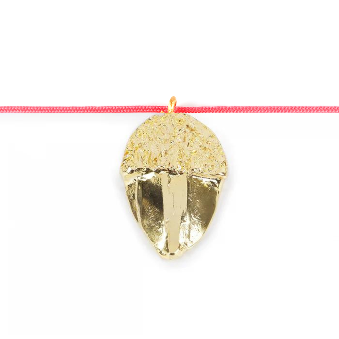 Collar Nylon Acorn Cool