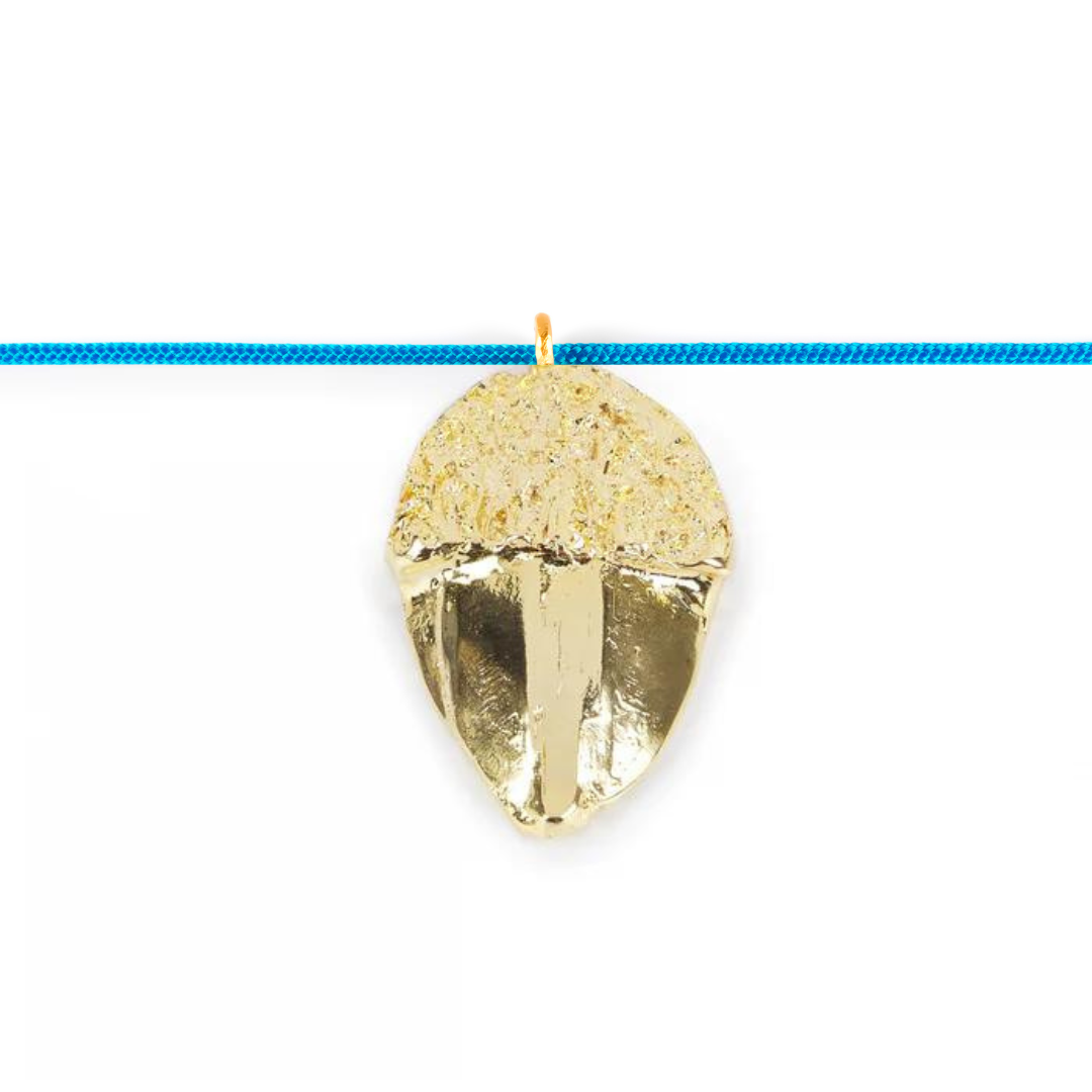 Collar Nylon Acorn Cool