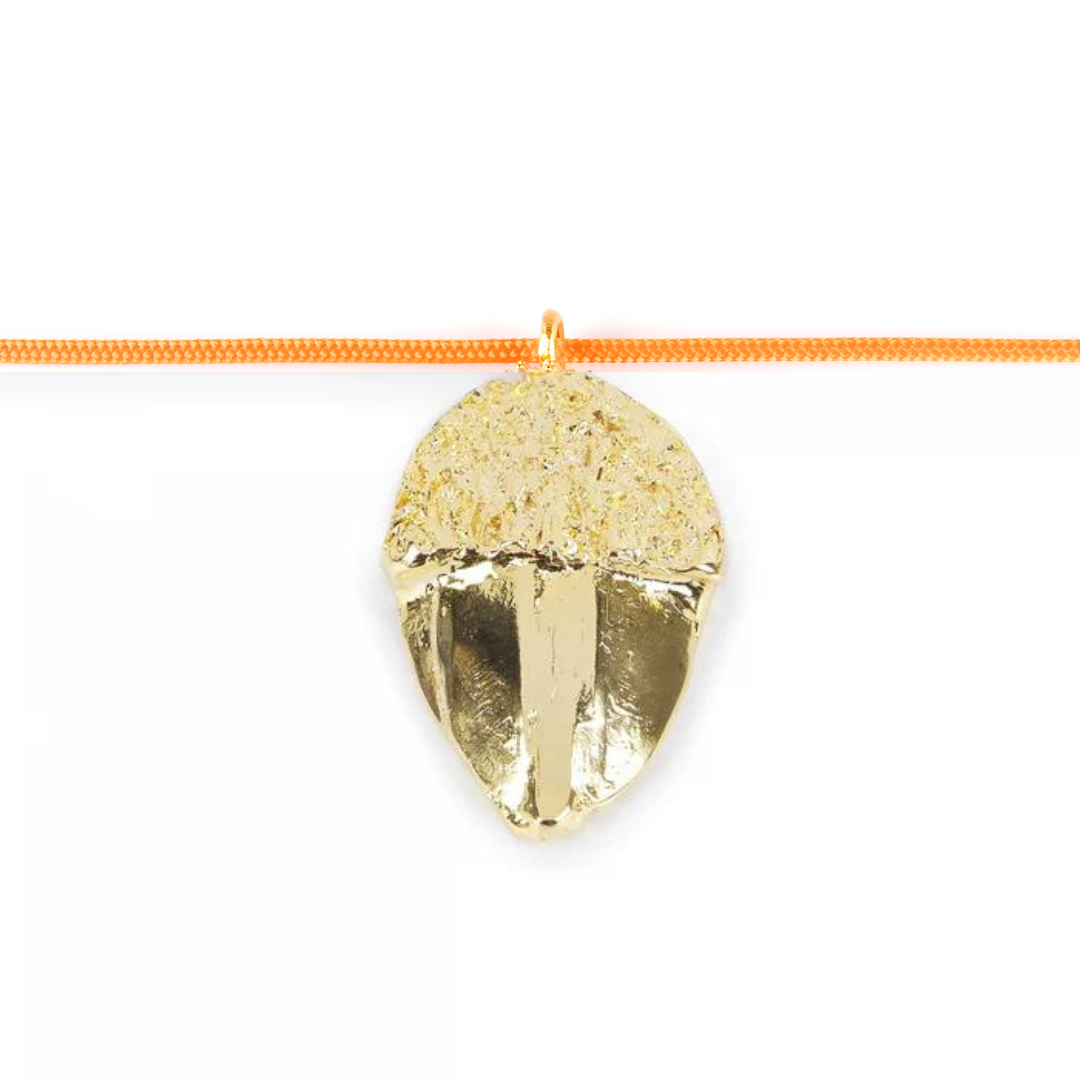 Collar Nylon Acorn Cool