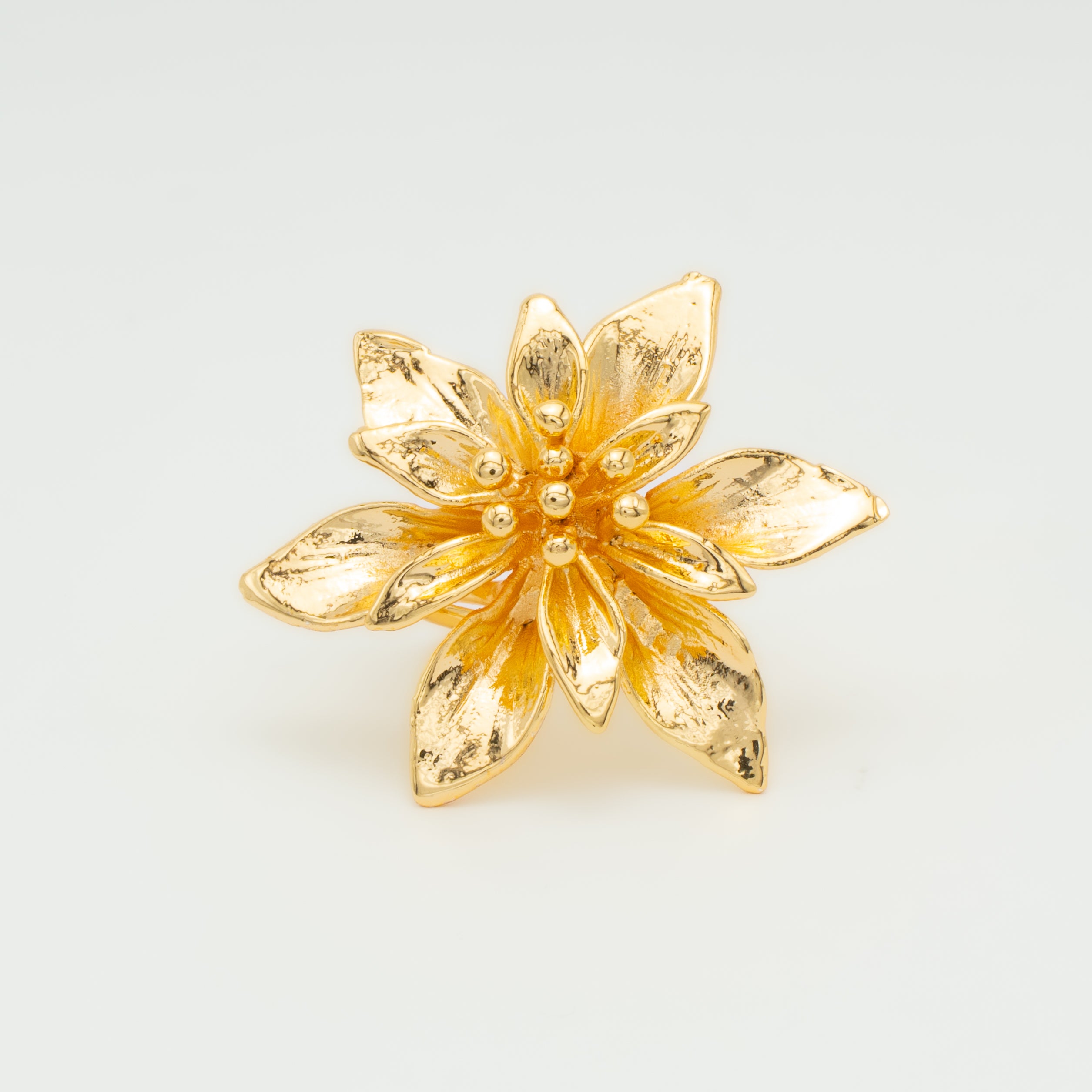 PACK NAVIDAD FLOR EXOTICA