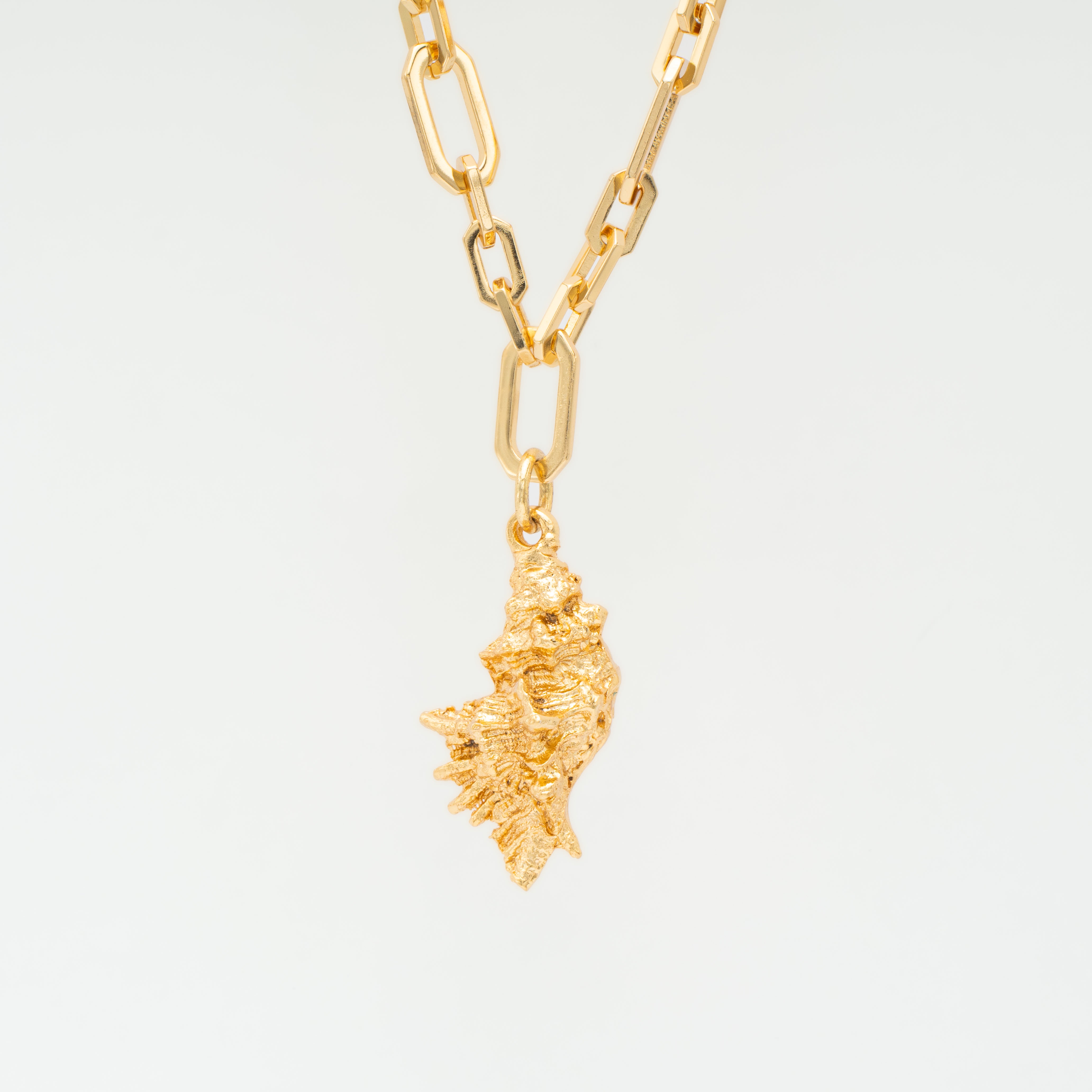 Collar cadena con caracola dorado