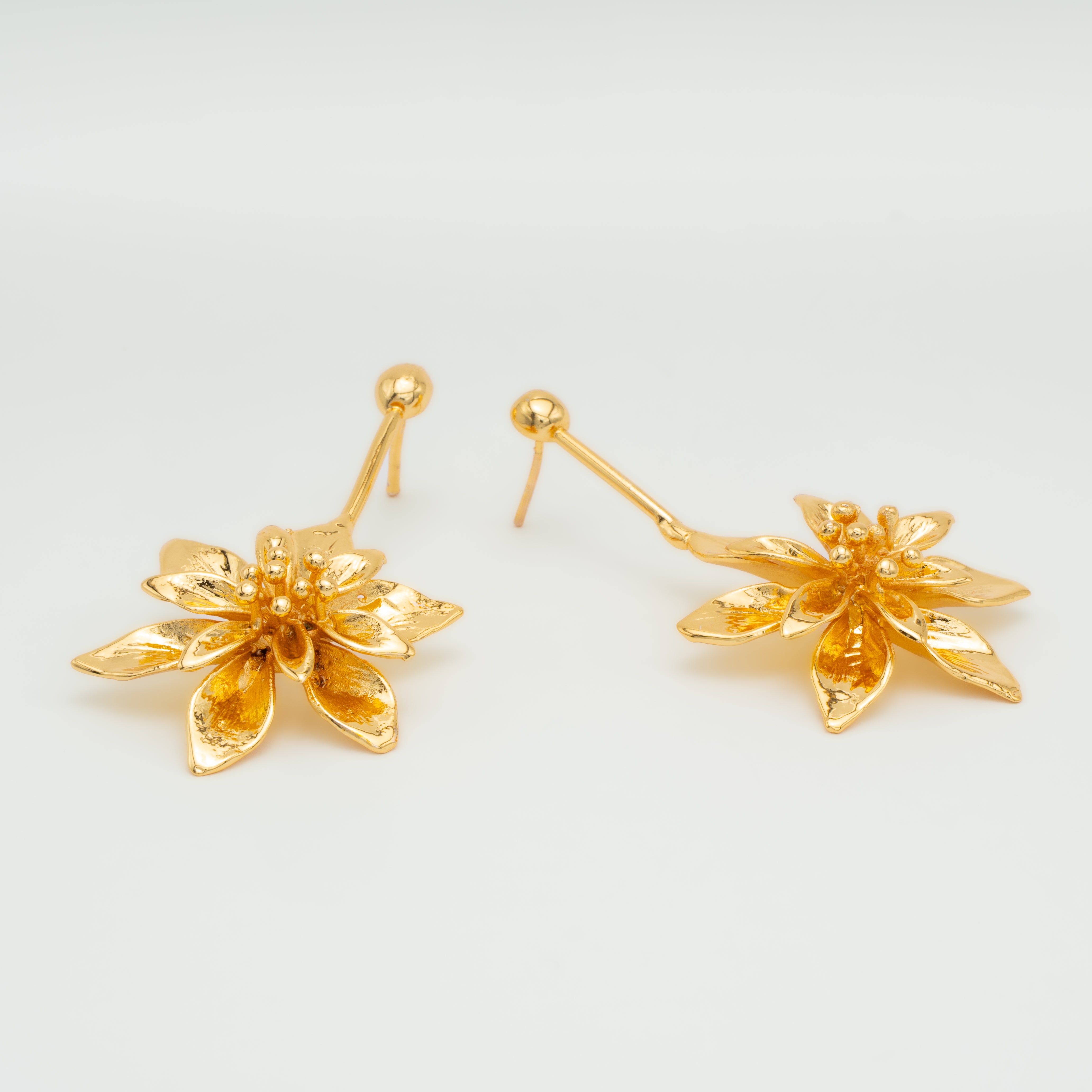 PACK NAVIDAD FLOR EXOTICA