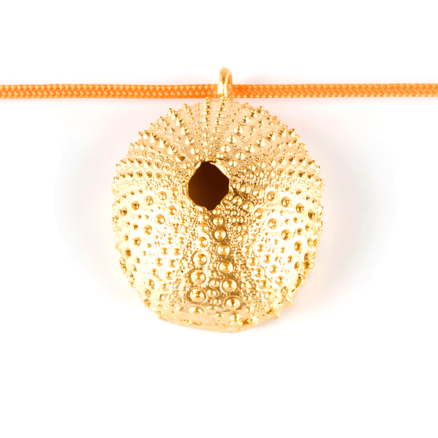 Collar nylon Erizo Trenc Cool