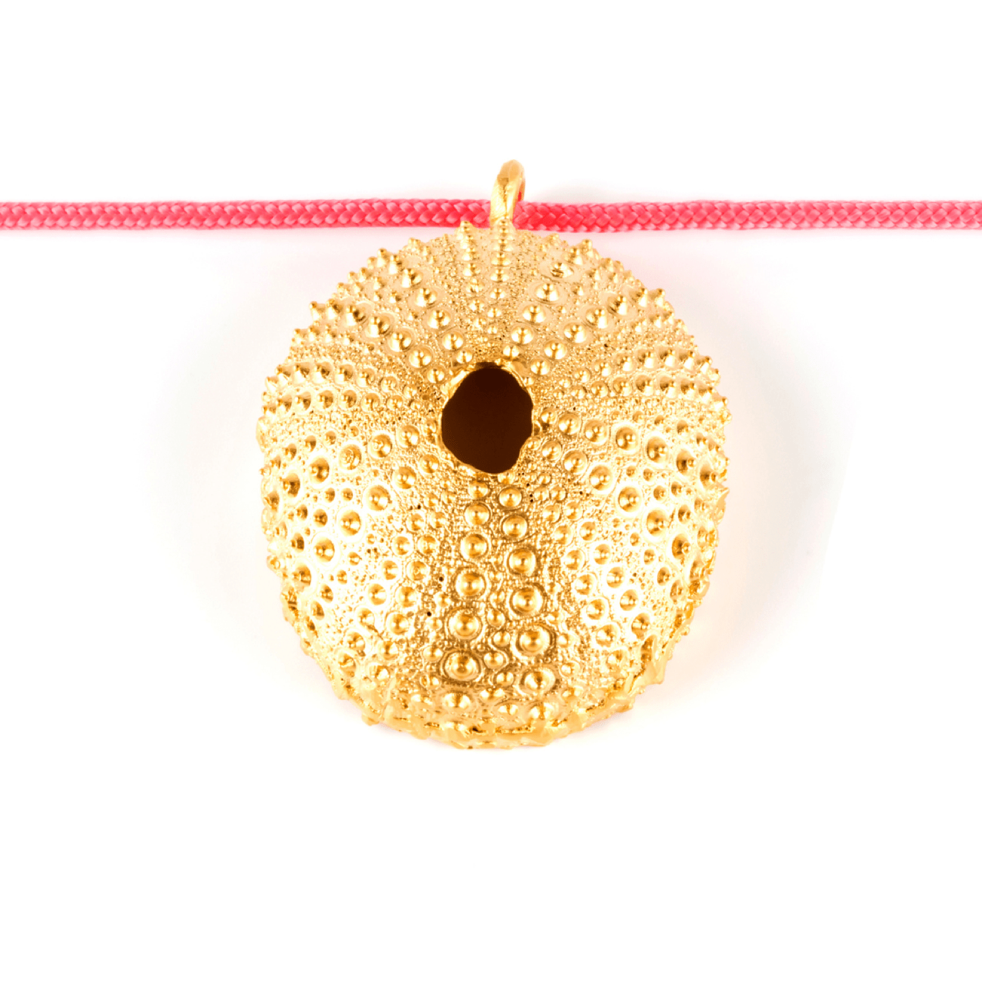 Collar nylon Erizo Trenc Cool