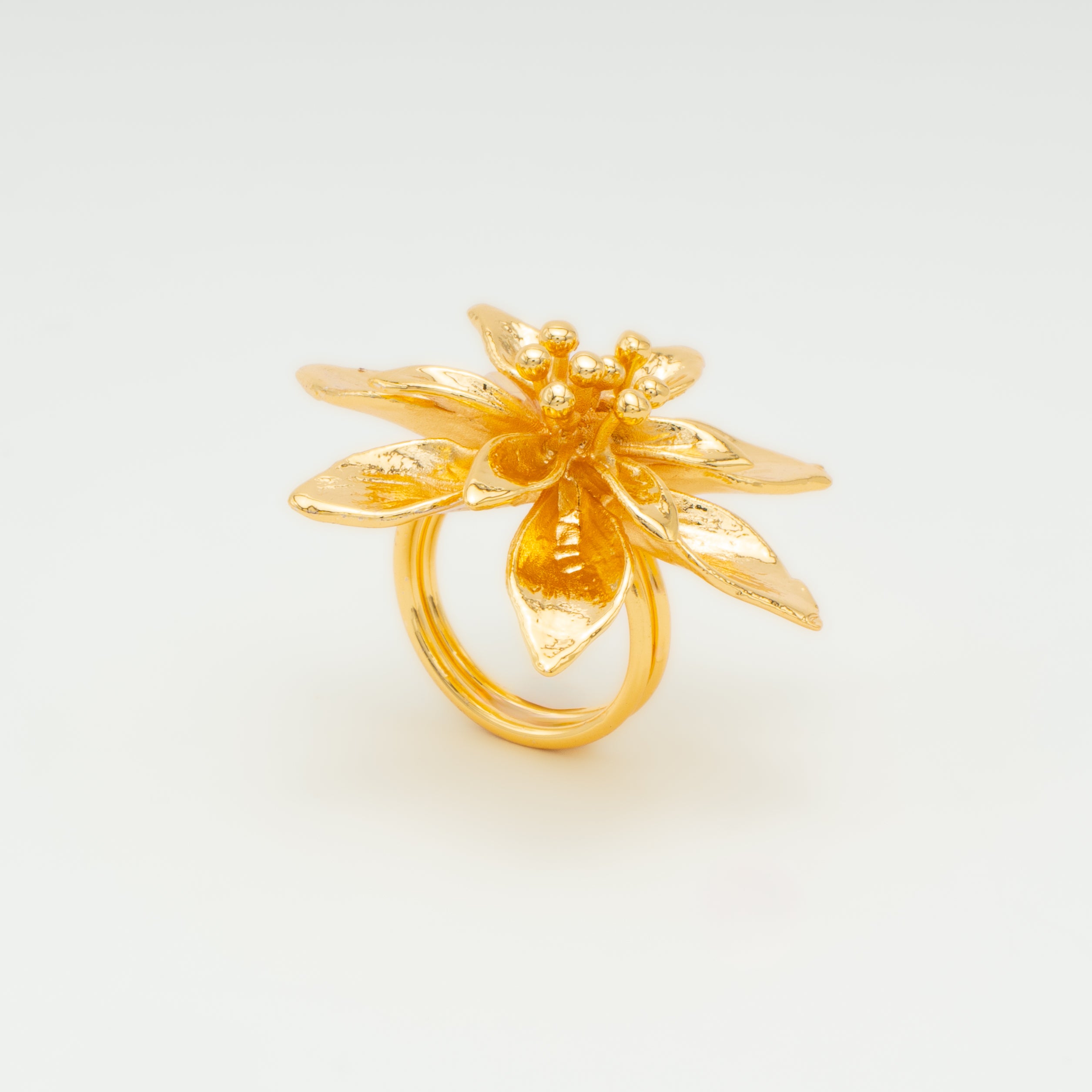 PACK NAVIDAD FLOR EXOTICA