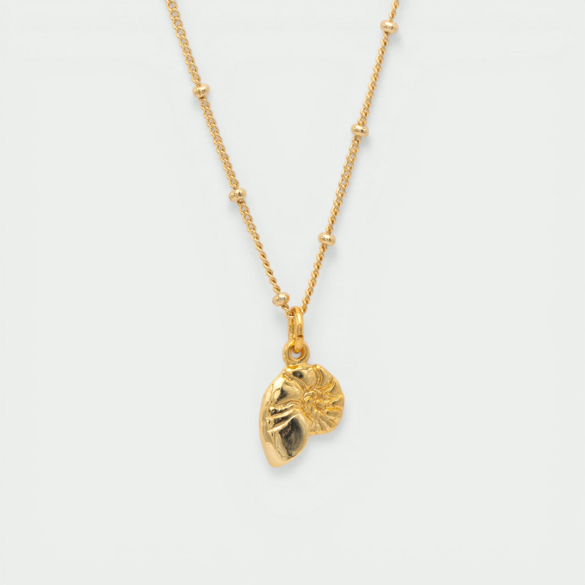COLLAR CADENA CUTE NAUTILUS