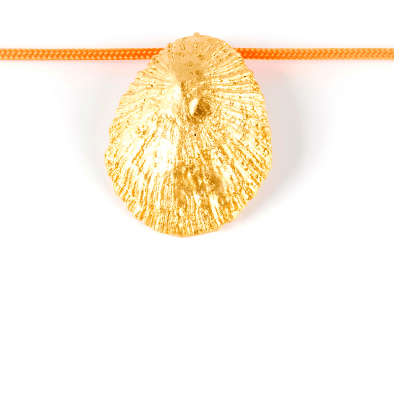 Calobra Cool, collar de nylon con lapa bañada en oro.
